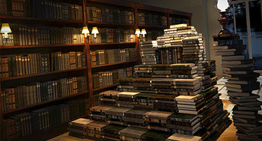 Carlos García Beltrán. Visualizador 3D.