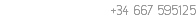 +34 667 595125